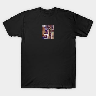 The Pillars Of The Plaza Hotel, New York City T-Shirt